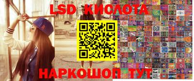 стафф Гусев