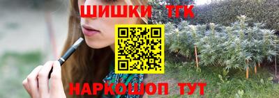 стафф Гусев