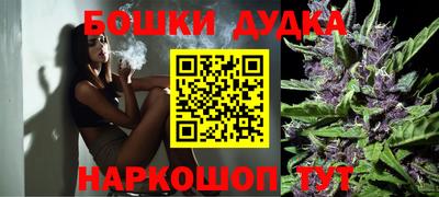 стафф Гусев