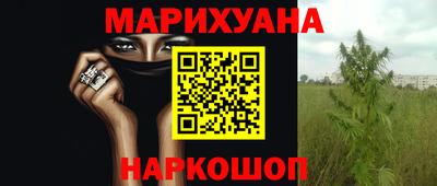 стафф Гусев