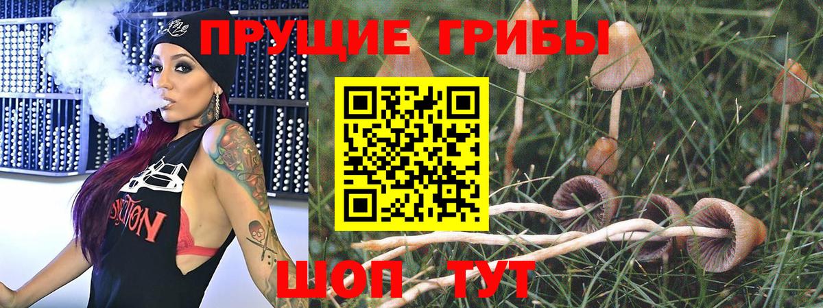Псилоцибиновые грибы Magic Shrooms  Вход с VPN  Нефтекамск 