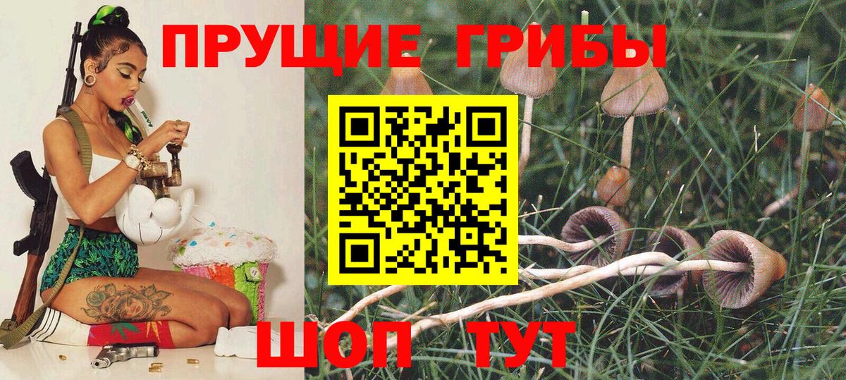 Галлюциногенные грибы Cubensis Нефтекамск